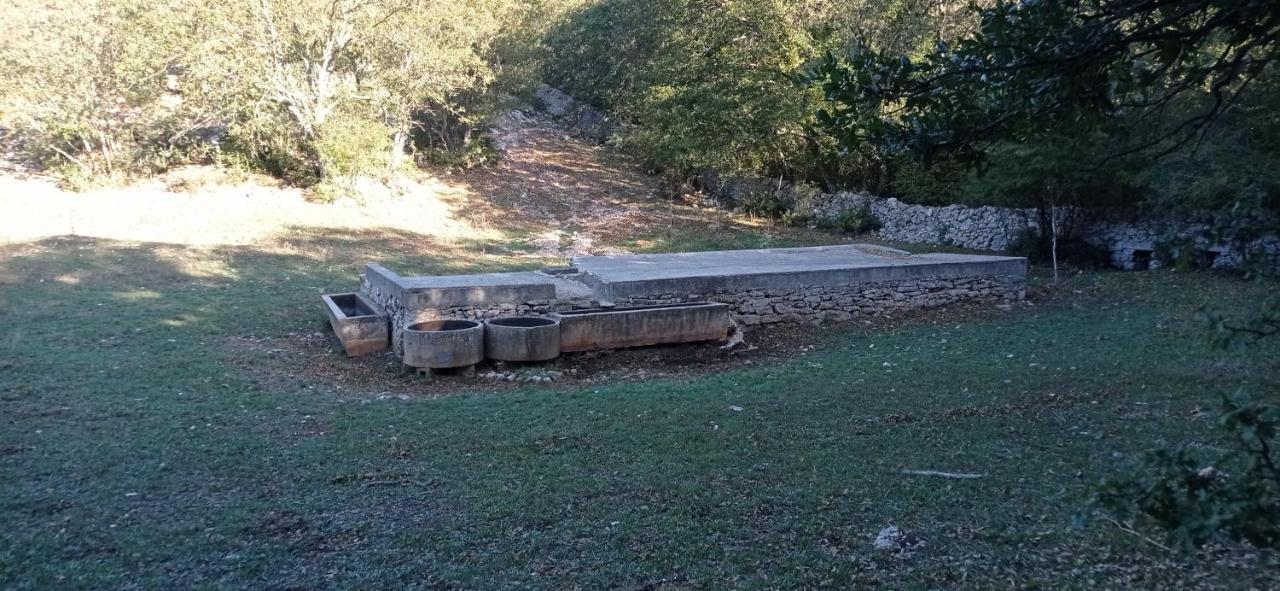 Dimora Pianelle Bed and Breakfast Crispiano Εξωτερικό φωτογραφία